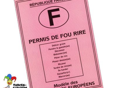 PERMIS DE RIGOLER - FAUX PERMIS DE CONDUIRE - PERMIS D ETRE UN GROS MACHO -  REF 07031 - HUMOUR